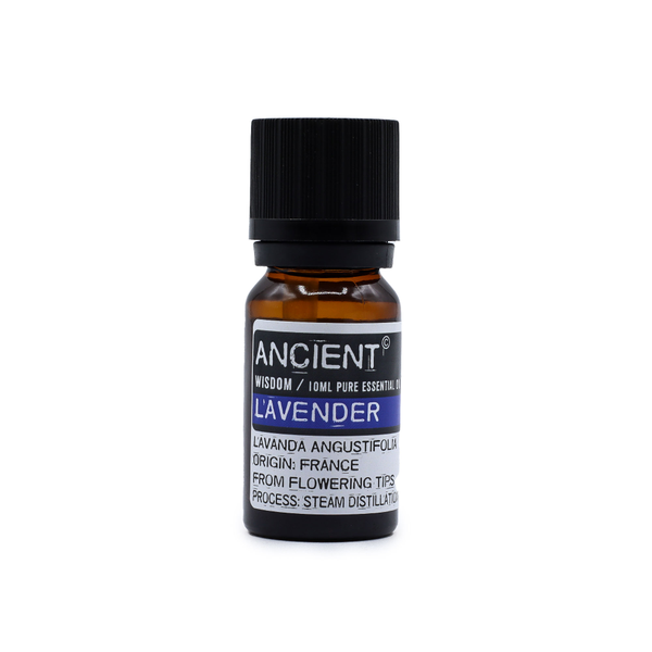 Set ätherischer Öle Lavendel Teebaum und Rosmarin je 10 ml