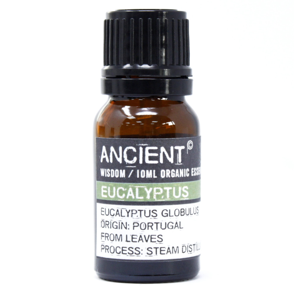Bio Ätherisches Öl Eukalyptus 10 ml