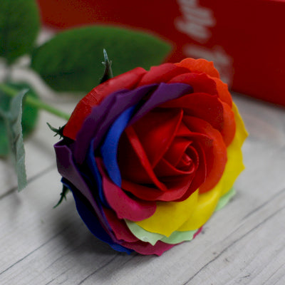 Luxuriöse Seifenblume Regenbogen