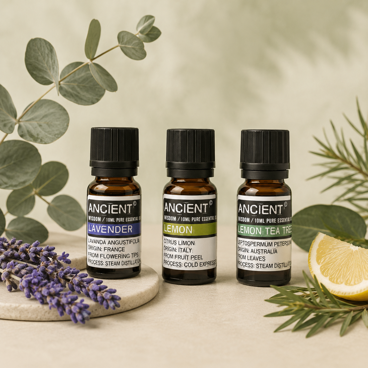 Ätherische Einzelöle für Aromatherapie, Diffuser und Duftlampen – Lavendel, Zitrone und Teebaum
