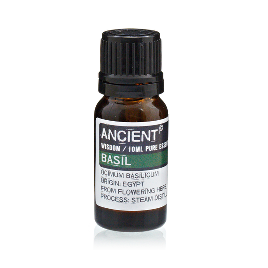 Ätherisches Öl Basilikum 10 ml