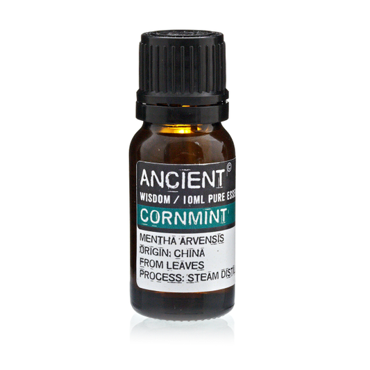 Ätherisches Öl Ackerminze 10 ml