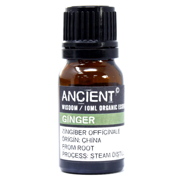 Bio Ätherisches Öl Ingwer 10 ml