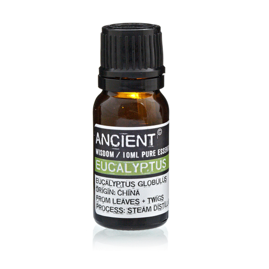 Ätherisches Öl Eukalyptus 10 ml