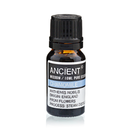 Ätherisches Öl Römische Kamille rein 10 ml