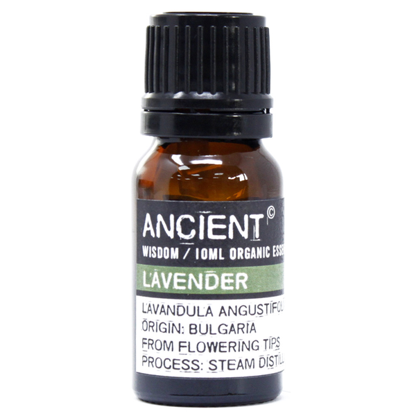 Bio Ätherisches Öl Lavendel 10 ml