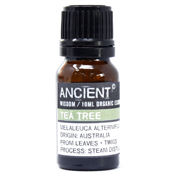 Bio Ätherisches Öl Teebaum 10 ml