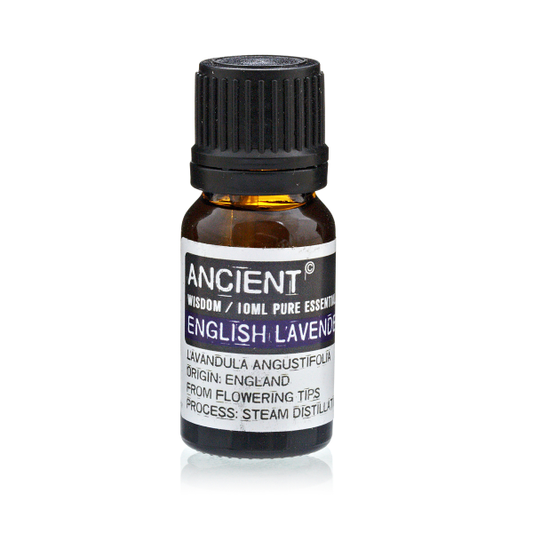 Ätherisches Öl Englischer Lavendel 10 ml