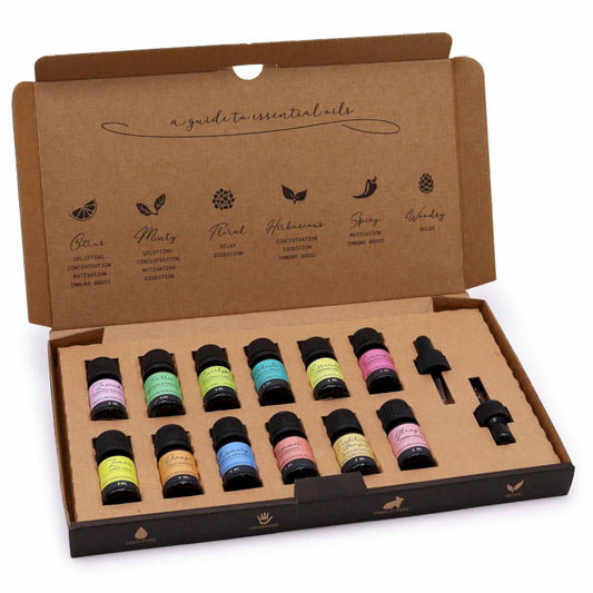 Aromatherapie Geschenkset mit 12 ätherischen Ölen
