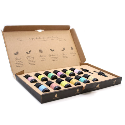 Aromatherapie Geschenkset mit 12 ätherischen Ölen