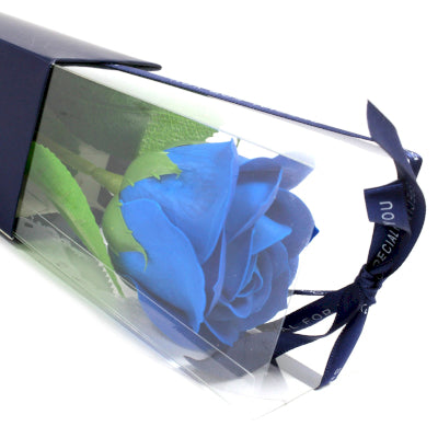 Einzelne Seifenrose Blaue Rose