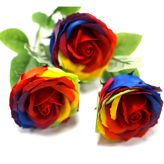 Luxuriöse Seifenblume Regenbogen