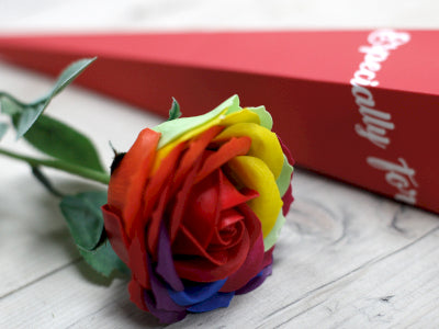 Luxuriöse Seifenblume Regenbogen