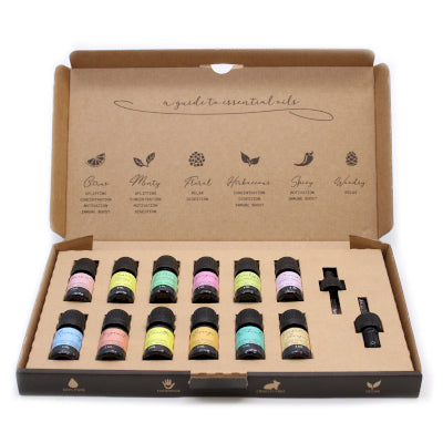 Aromatherapie Geschenkset mit 12 ätherischen Ölen